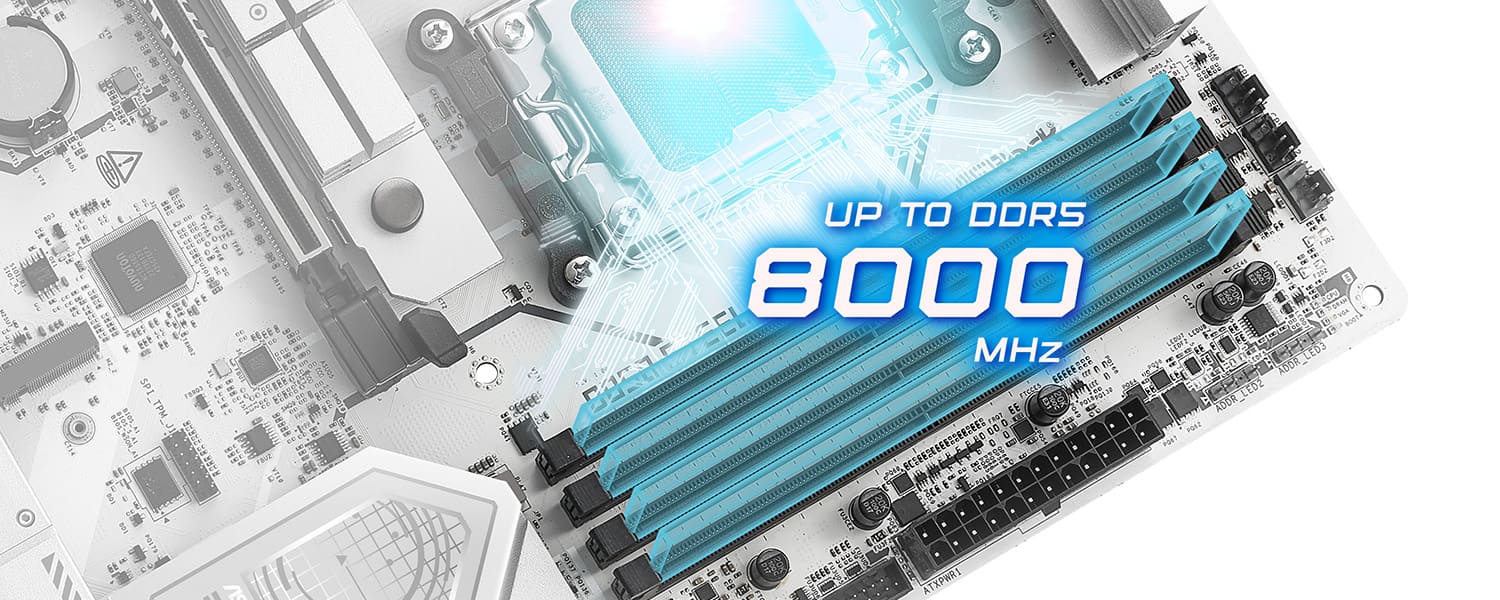 DDR5 XMP & EXPO Support